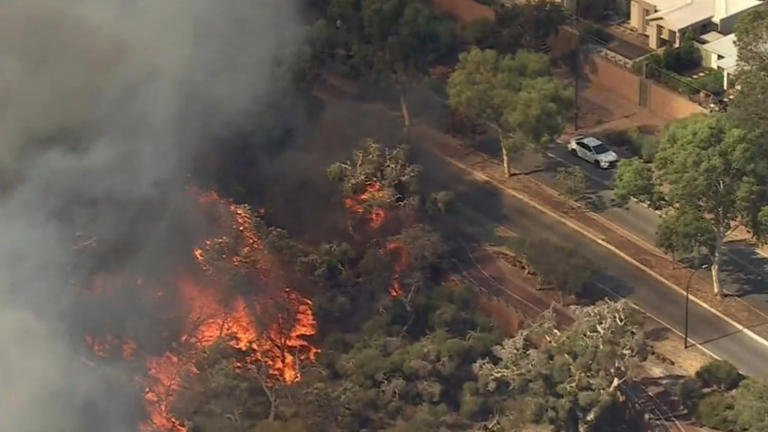 Cigarette butt believed to be cause of Perth bushfire