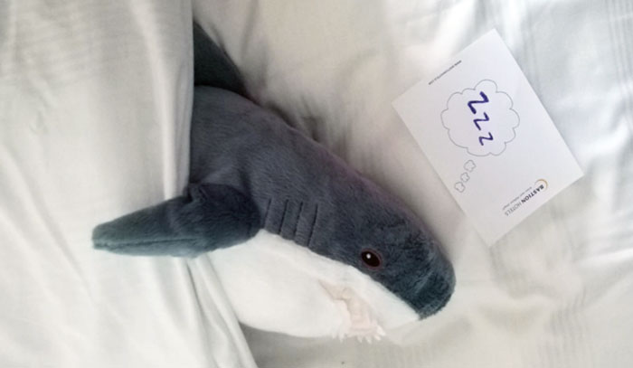 49 Times People Spotted Such Creative Solutions At Their Hotels, They Just Had To Share