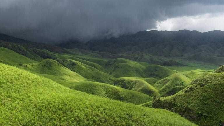 Why Nagaland's Dzukou Valley is burning and what is making it spread to ...