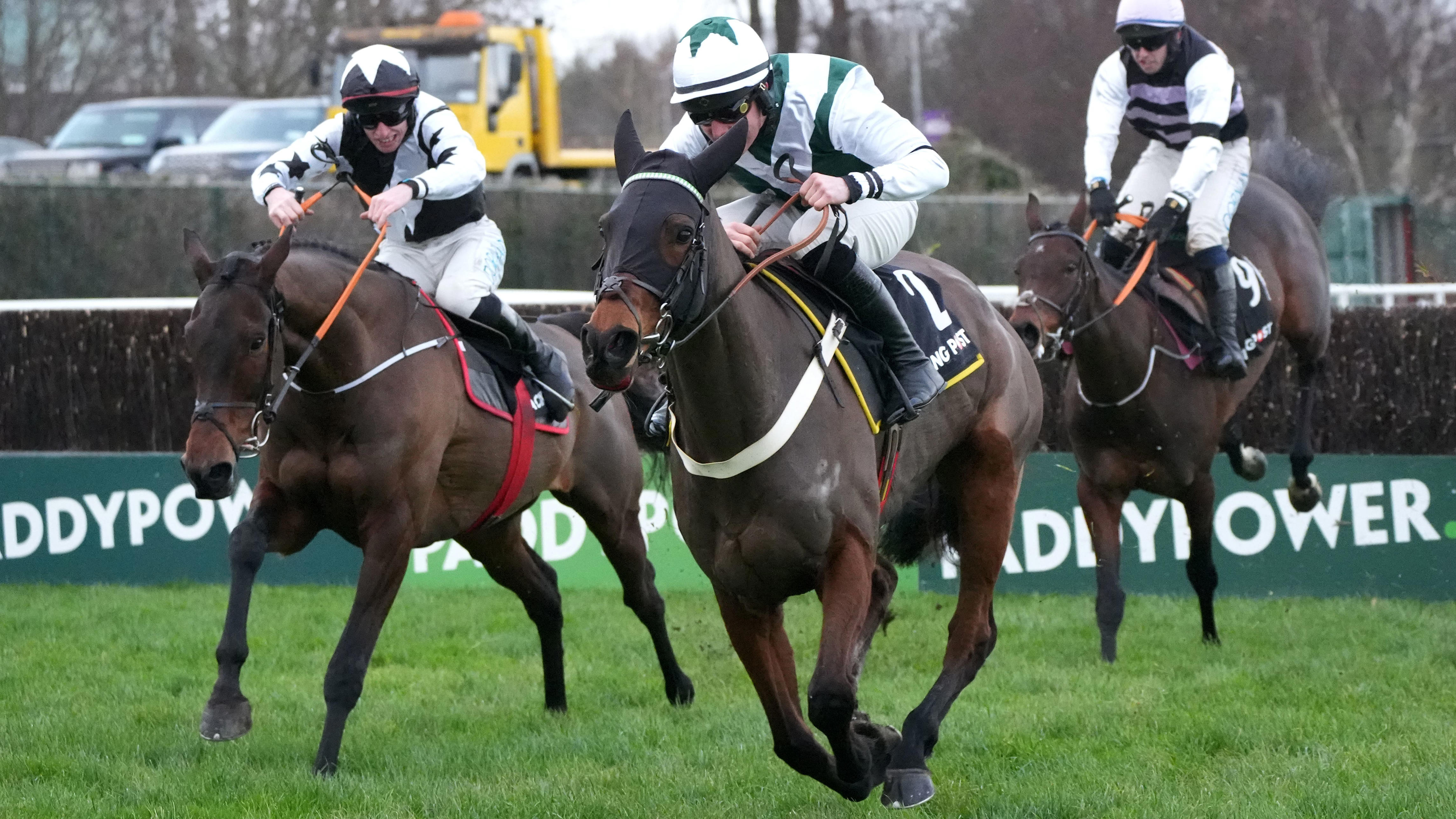 Harty content to bypass Leopardstown with Irish Panther