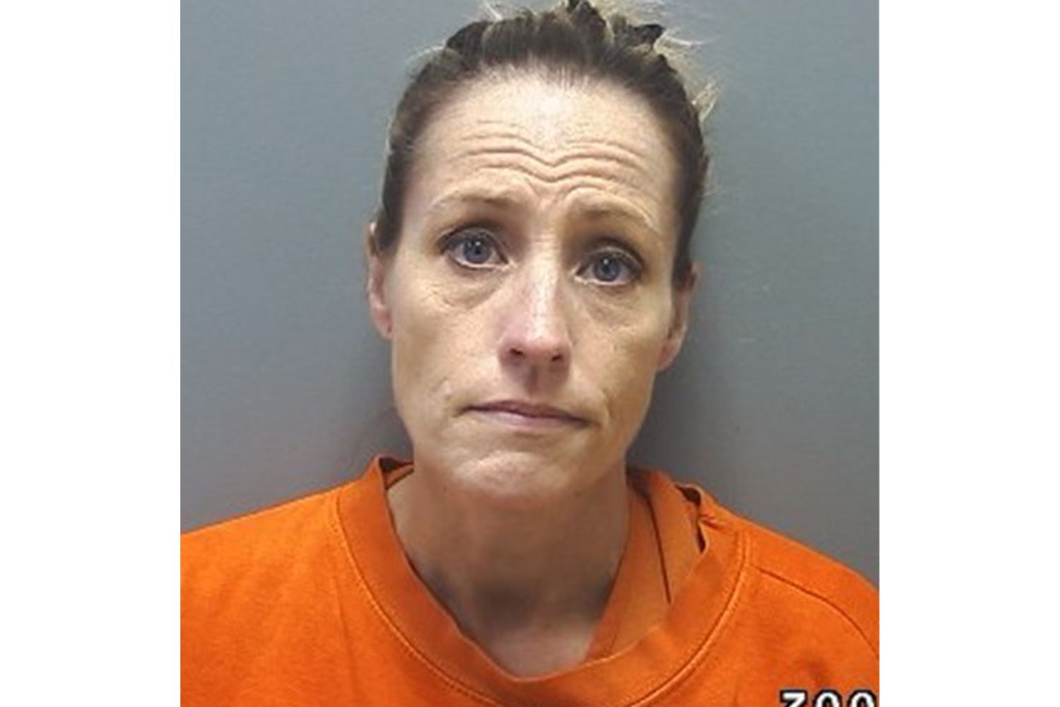 Elementary school assistant principal arrested after allegedly stealing ...