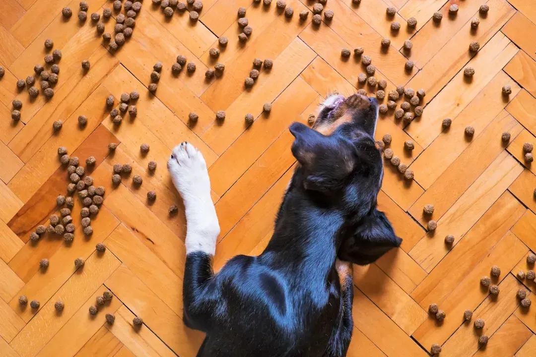 Chocolate: The Classic Killer Nobody Takes Seriously Enough (Image Credits: Unsplash)