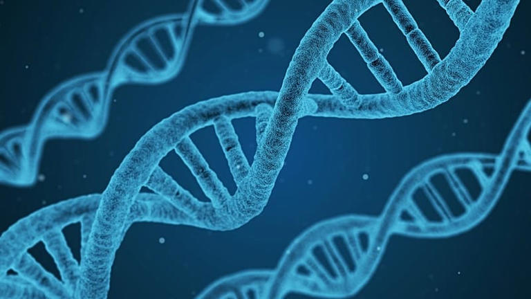 AlphaGenome: Google’s new AI tool that can decipher and predict DNA ...