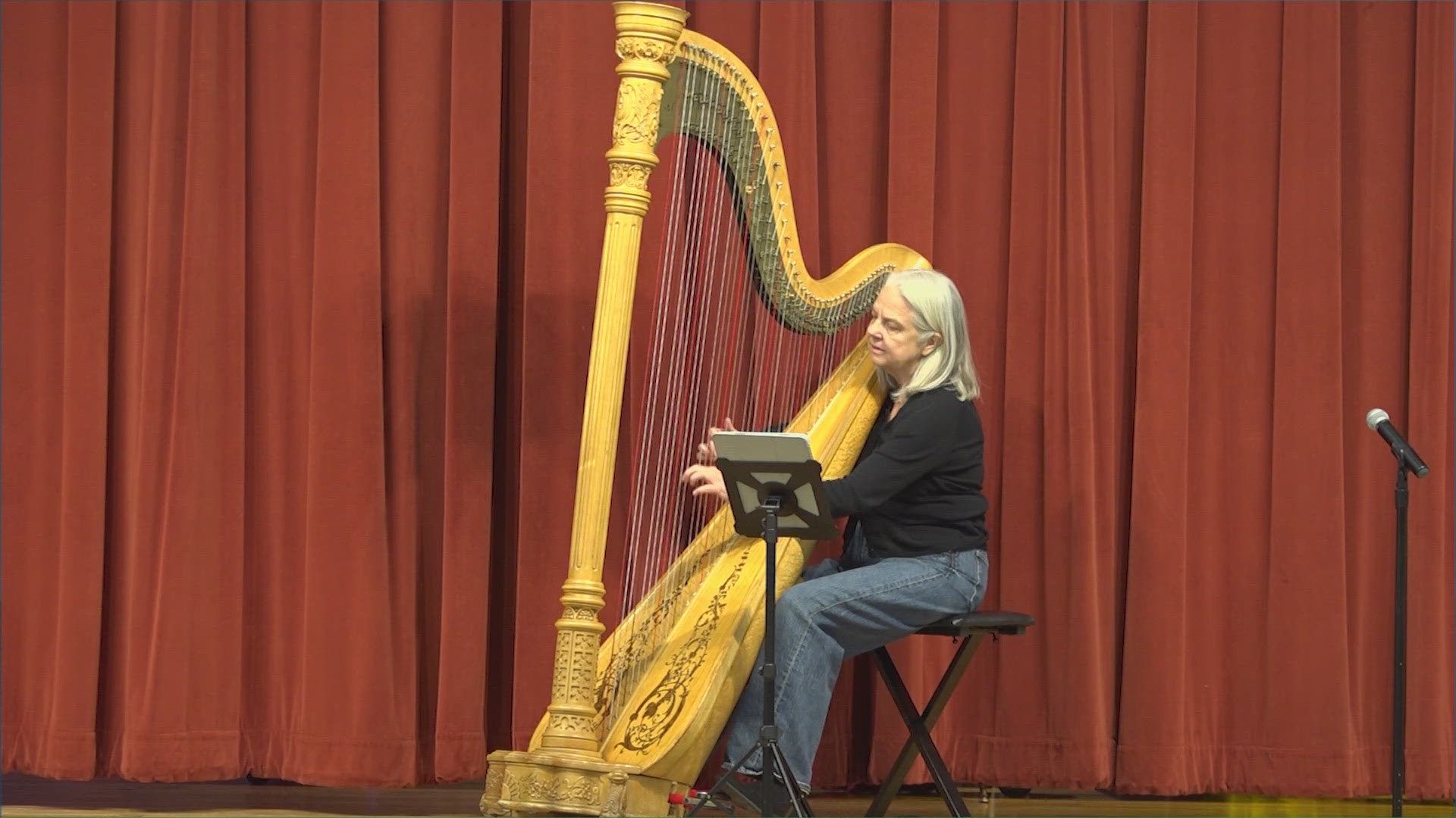 Del Valle ISD elementary students hear live harp performance through ...