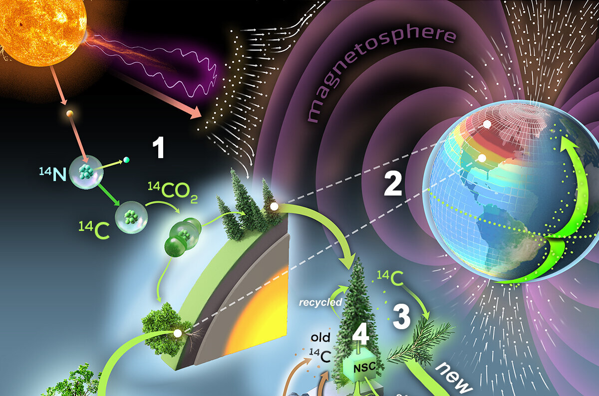 How tree rings help scientists understand disruptive extreme solar storms