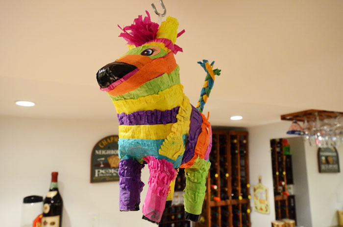 35 Times Someone Brought Something Random To A Party That Ended Up Making It More Interesting