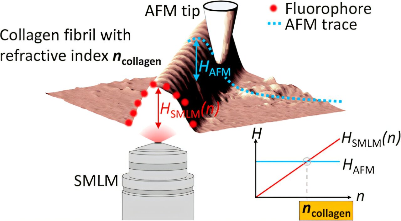 Refractive-index microscope measures a sample's optical properties with ...