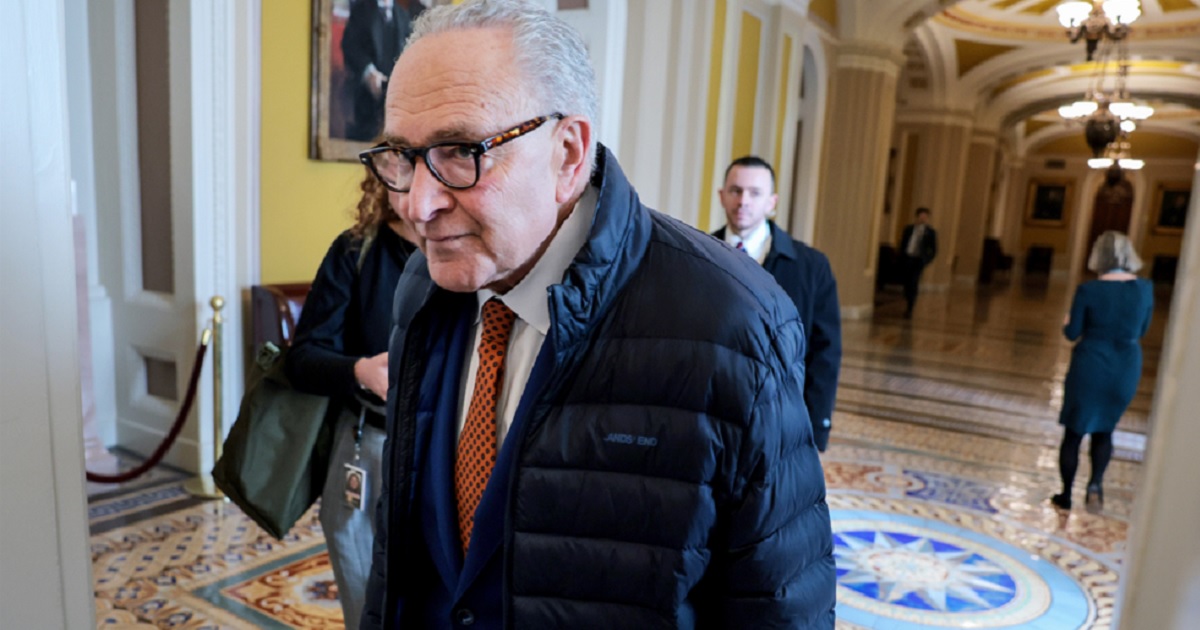 Anti-gun Chuck Schumer defends Second Amendment in bizarre attempt to ...