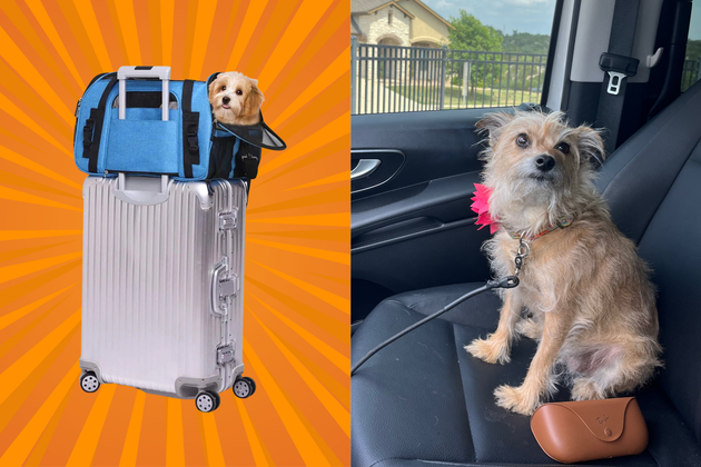 I don't travel without my rescue pup, so I combed the internet for ...