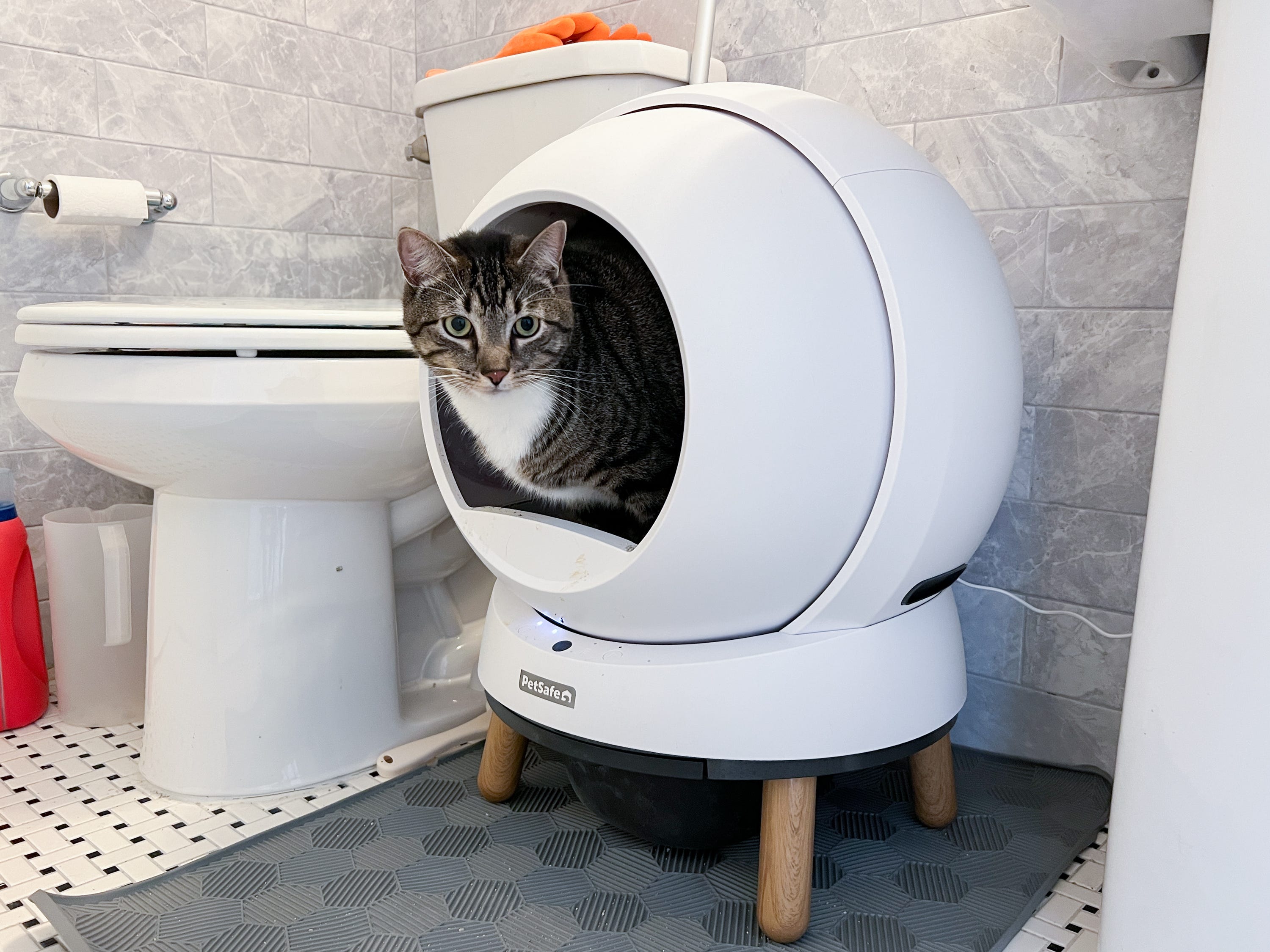 Our cats tested the newest self-cleaning litter boxes — here are the ...