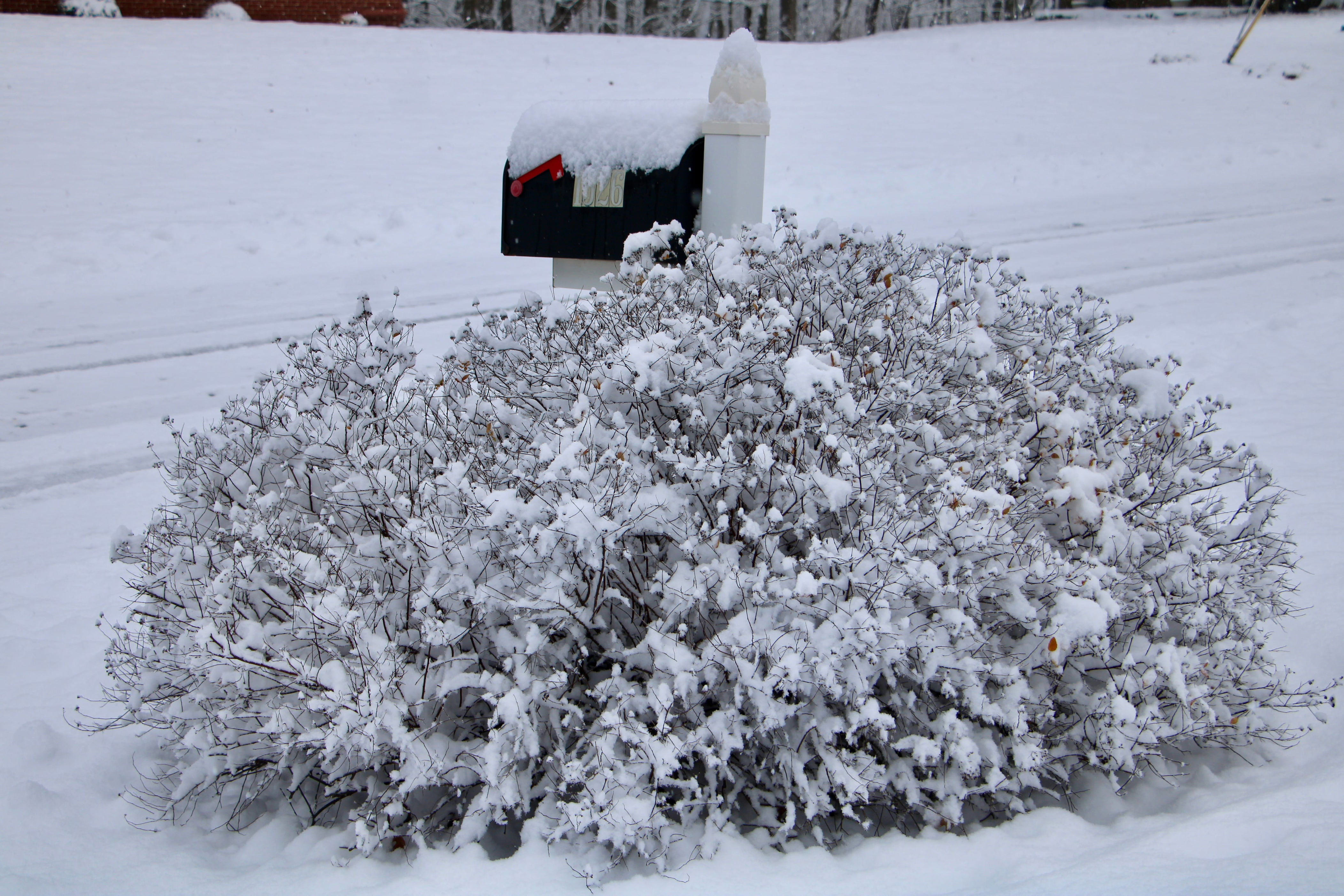PennDOT reminds residents of mailbox security, driveway maintenance ...