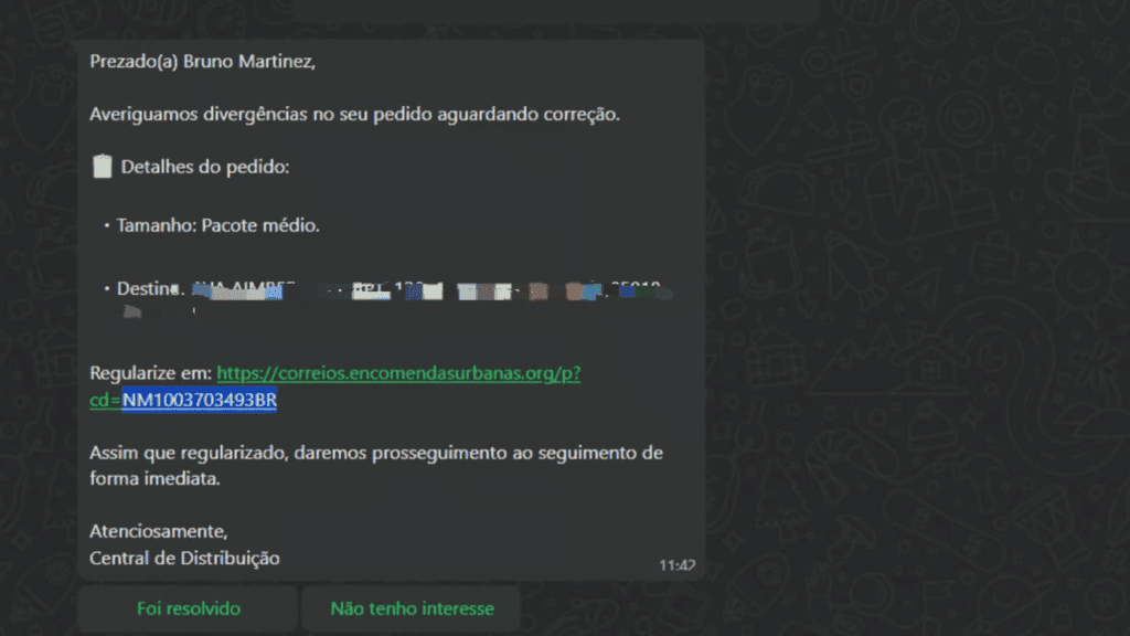 Veja como checar encomendas dos Correios e evitar golpes