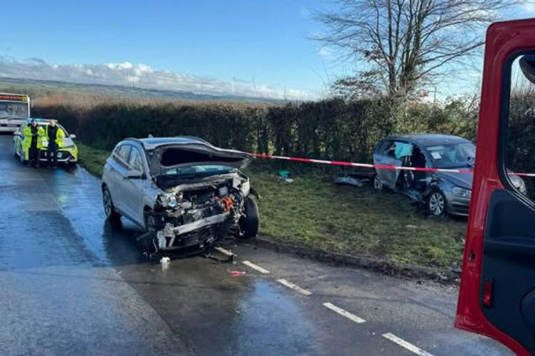 Driver trapped in car after dramatic Somerset crash