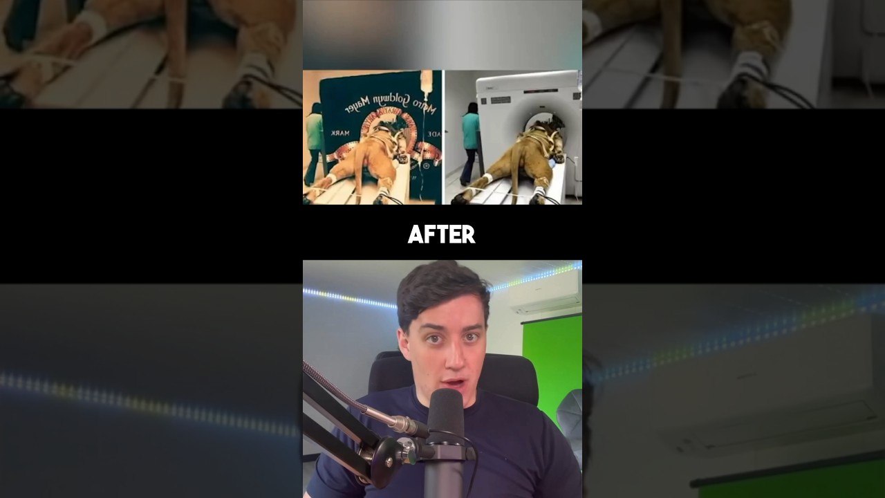 Investigation exposes the truth behind 3 famous viral photos