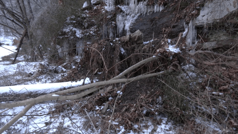 ‘I believe in guardian angels’: Tree felled by ice storm misses Boone ...