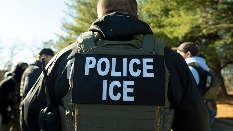 Democratic amendment to protect ICE cooperation for felons in Maryland ...
