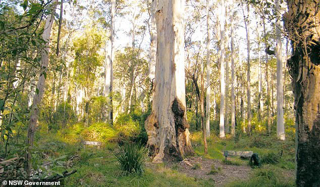 The area is known for its rugged bushland