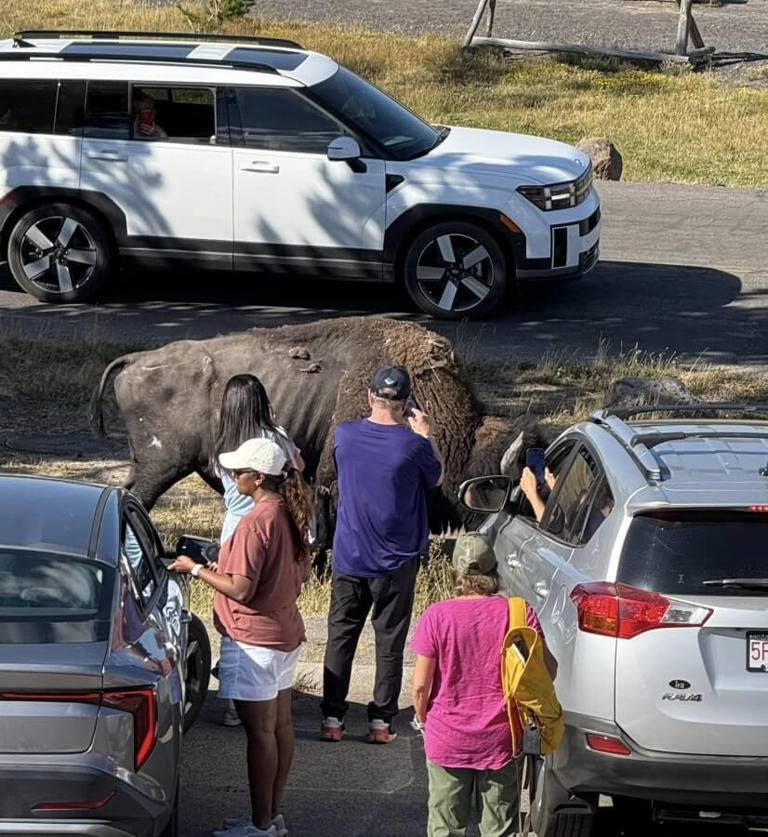 Onlooker sparks outrage with photo of tourists' reckless behavior near ...