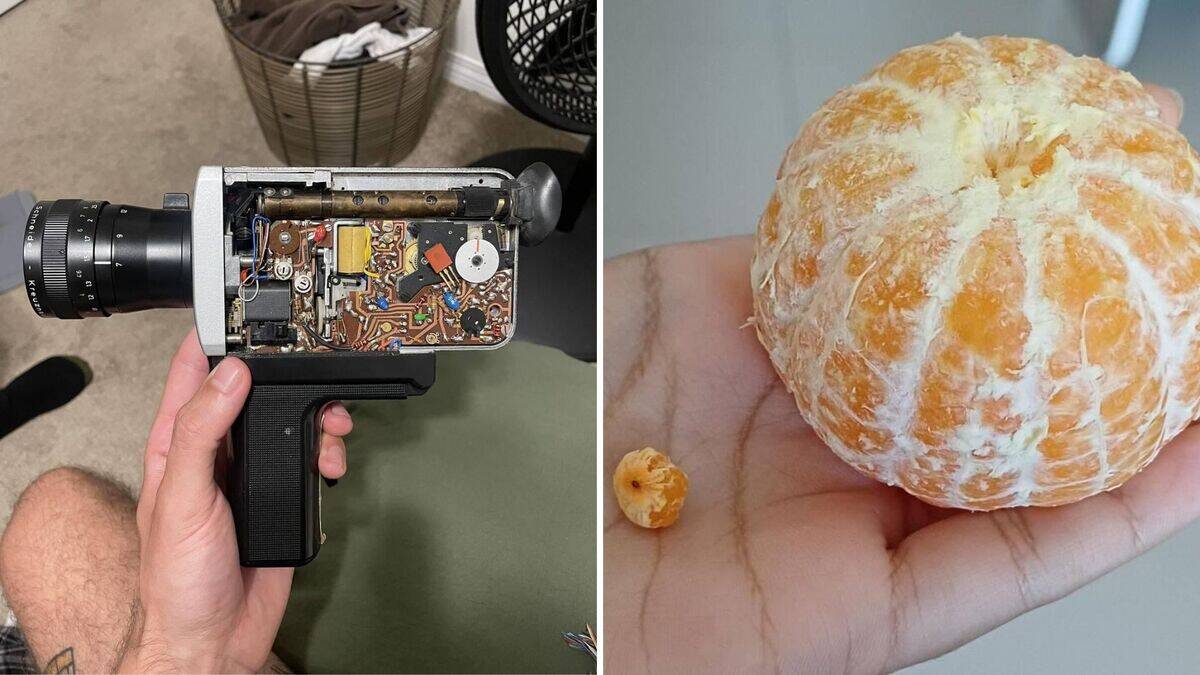 Photos that revealed something unexpected to us