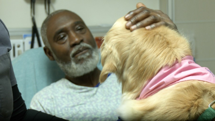 Pensacola Sacred Heart welcomes newest therapy dog, Joy