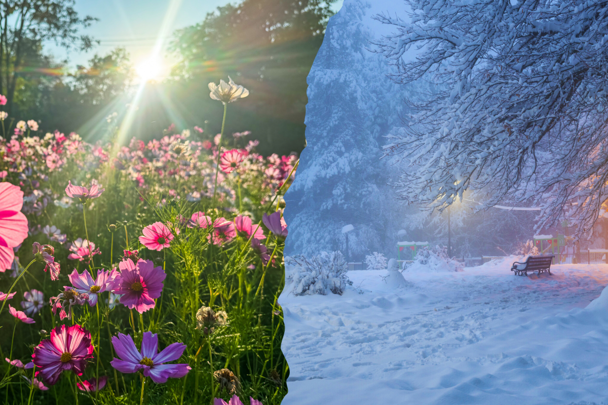 Flowers or snowdrifts? The Old Farmer's Almanac reveals spring 2026 ...