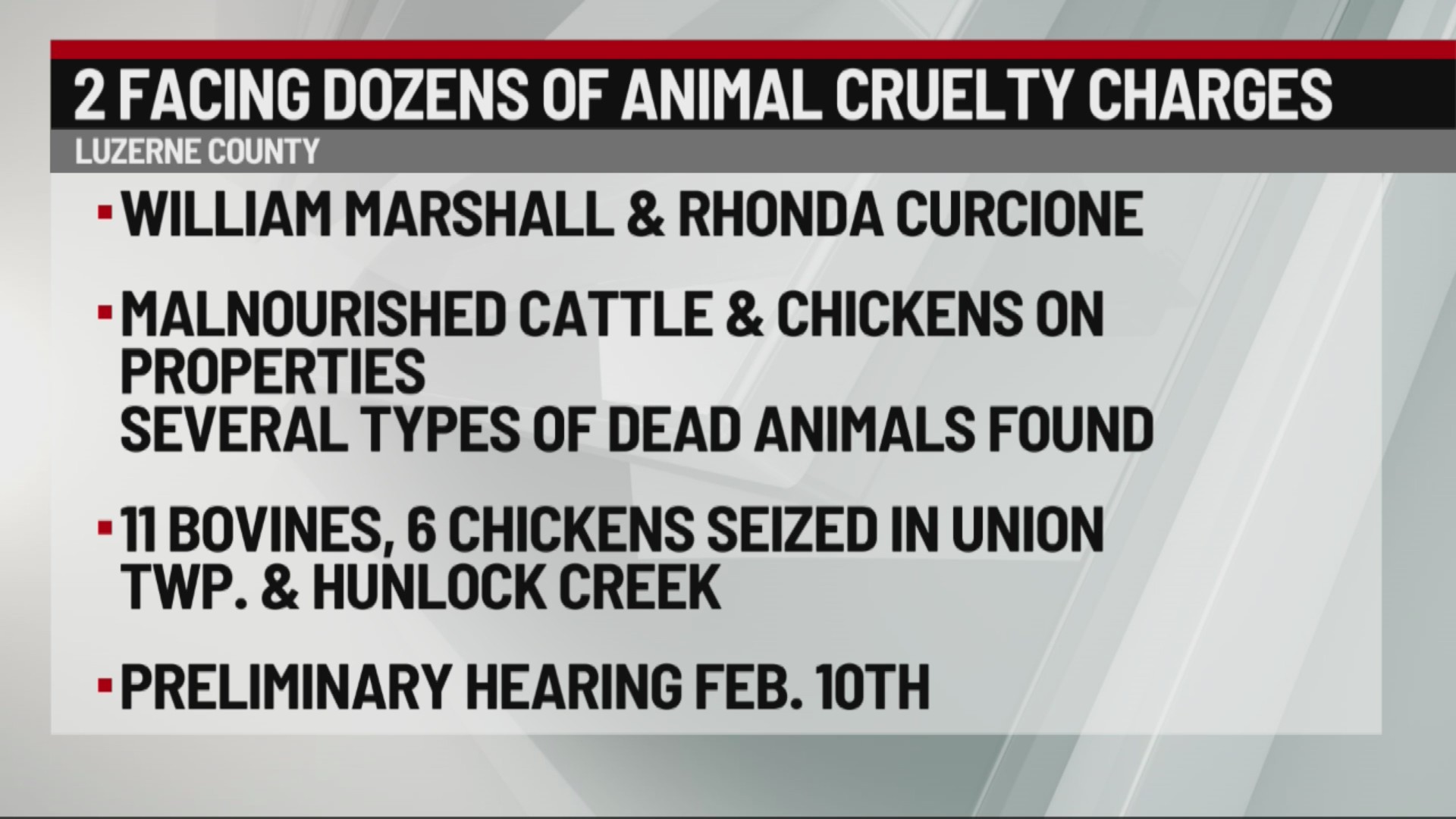 Many animals seized, found dead in cruelty case | 28/22 News