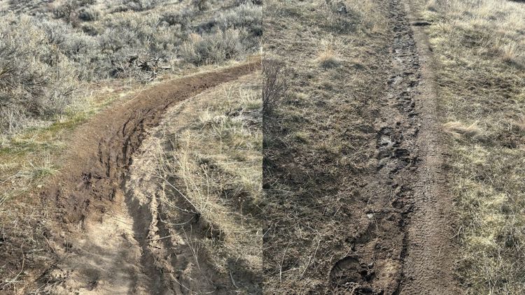 Ridge to Rivers urges Boise hikers to avoid muddy trails to prevent ...