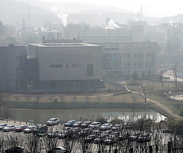 Wuhan lab offers India help with Nipah virus response<br><br>