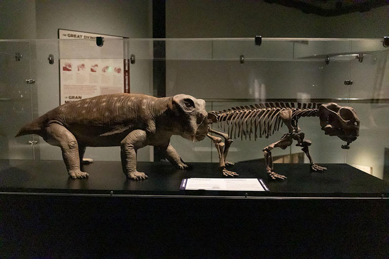 Museum of Idaho set to launch new exhibit exploring 'Life Before Dinosaurs'