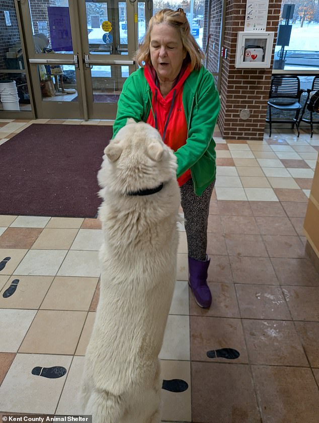 Woman distraught over missing dog gets surprise call a year later from ...