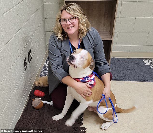 Woman distraught over missing dog gets surprise call a year later from ...