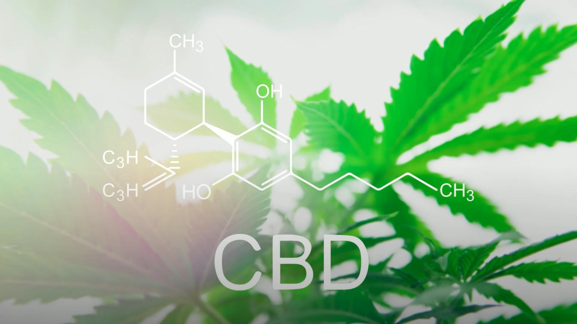 Quels sont les bienfaits du cannabidiol (CBD)