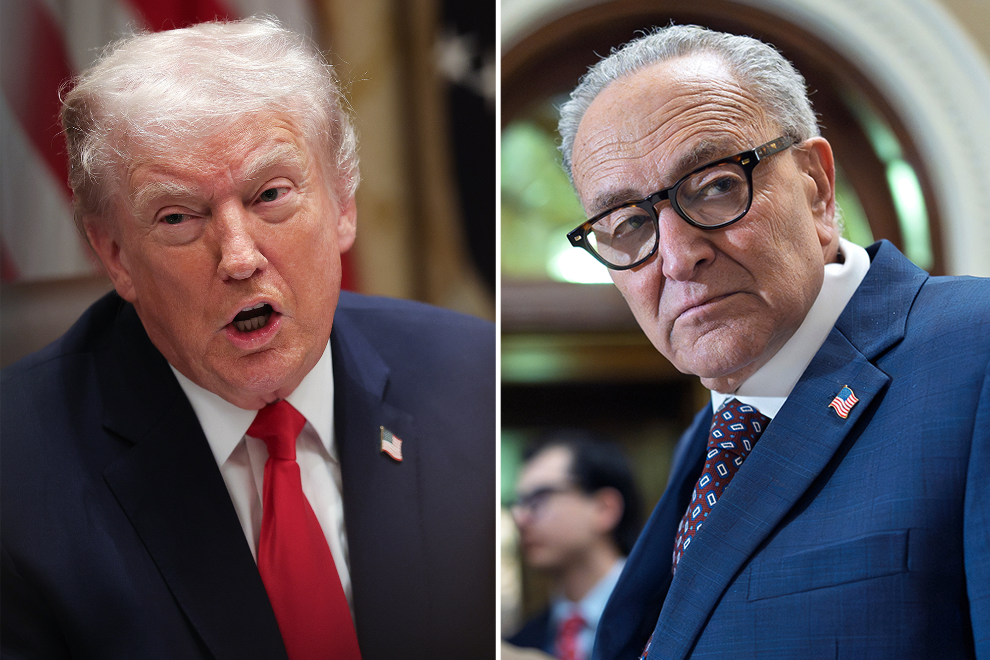 Trump, Chuck Schumer agree on government funding deal, but partial ...