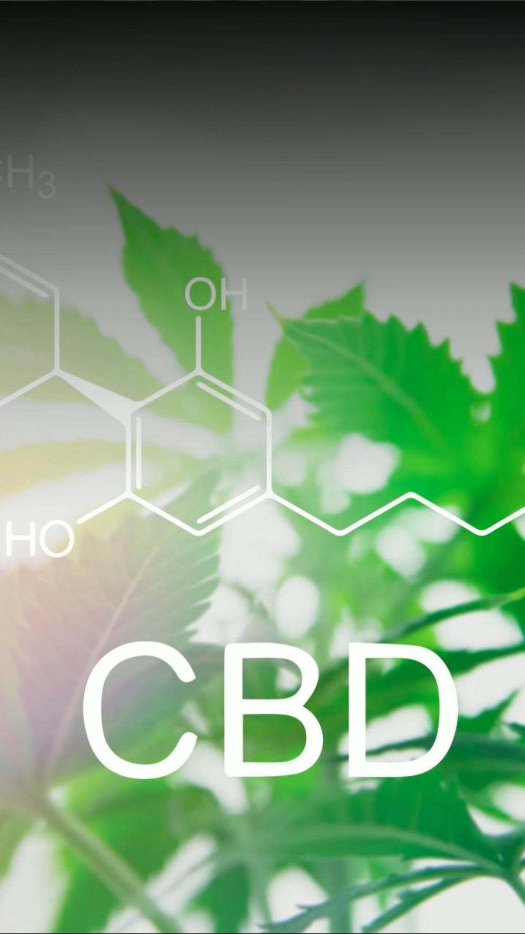 Quels sont les bienfaits du cannabidiol (CBD)