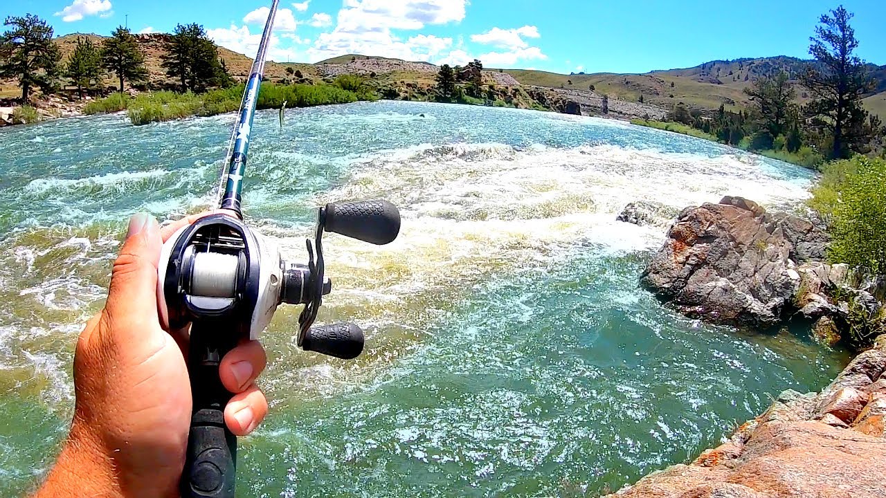 Bank fishing a raging river yields giant fish surprise