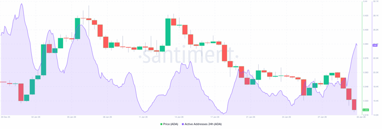 Cardano sees spike in active addresses, yet ADA's 66% decline shows no ...