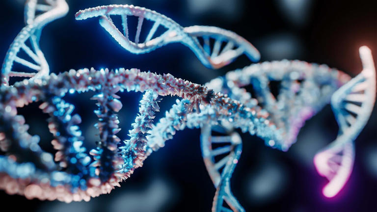 Genes play larger role in determining how long we live than previously ...