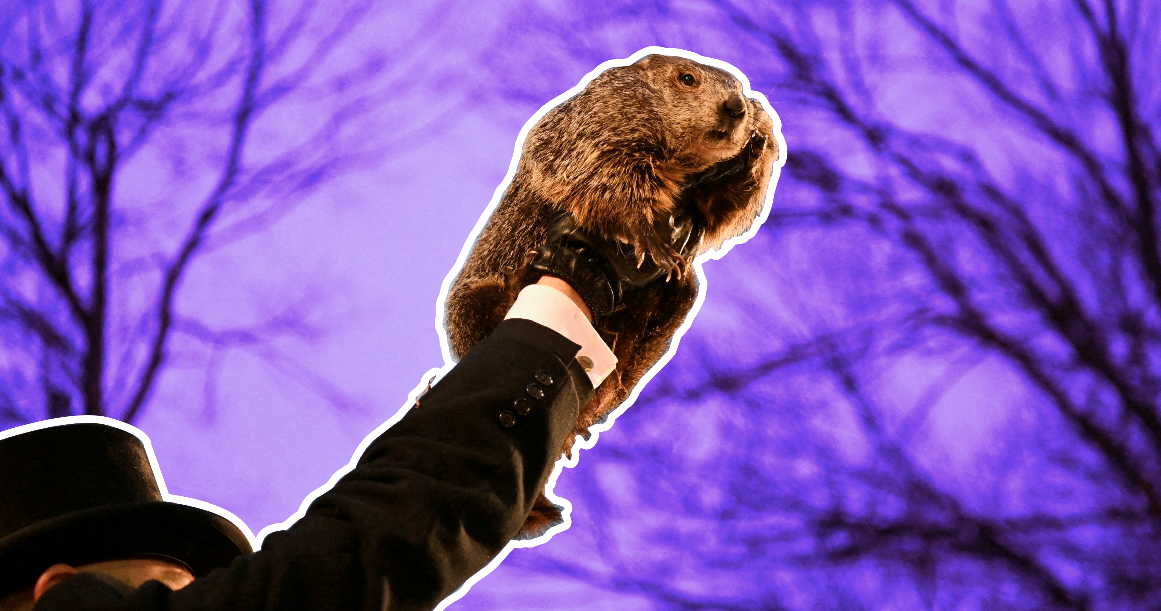 How accurate is Punxsutawney Phil? See his prediction history.<br><br>