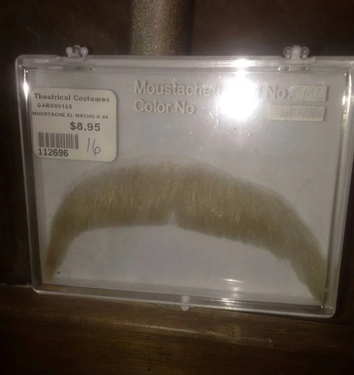 16 Times Roommate Situations Took an Unexpected Turn