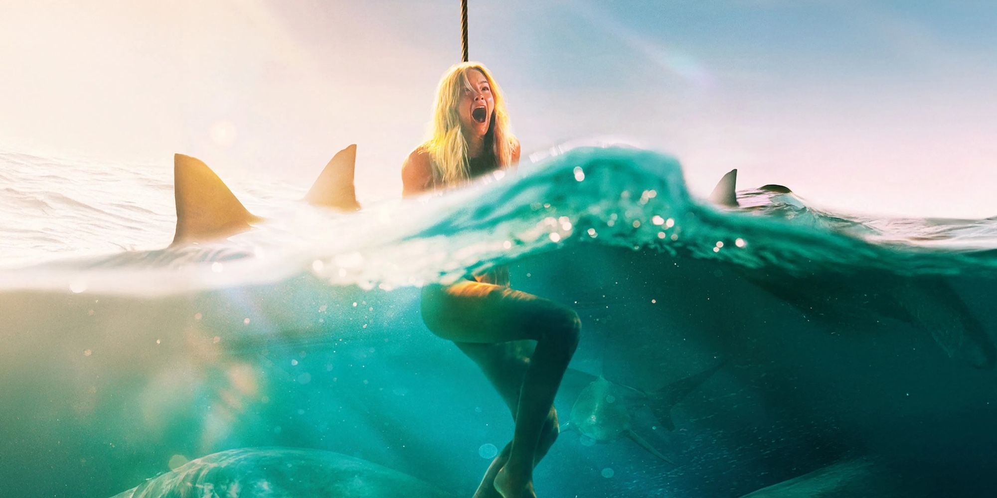 5 shark movies that are 10/10, no notes