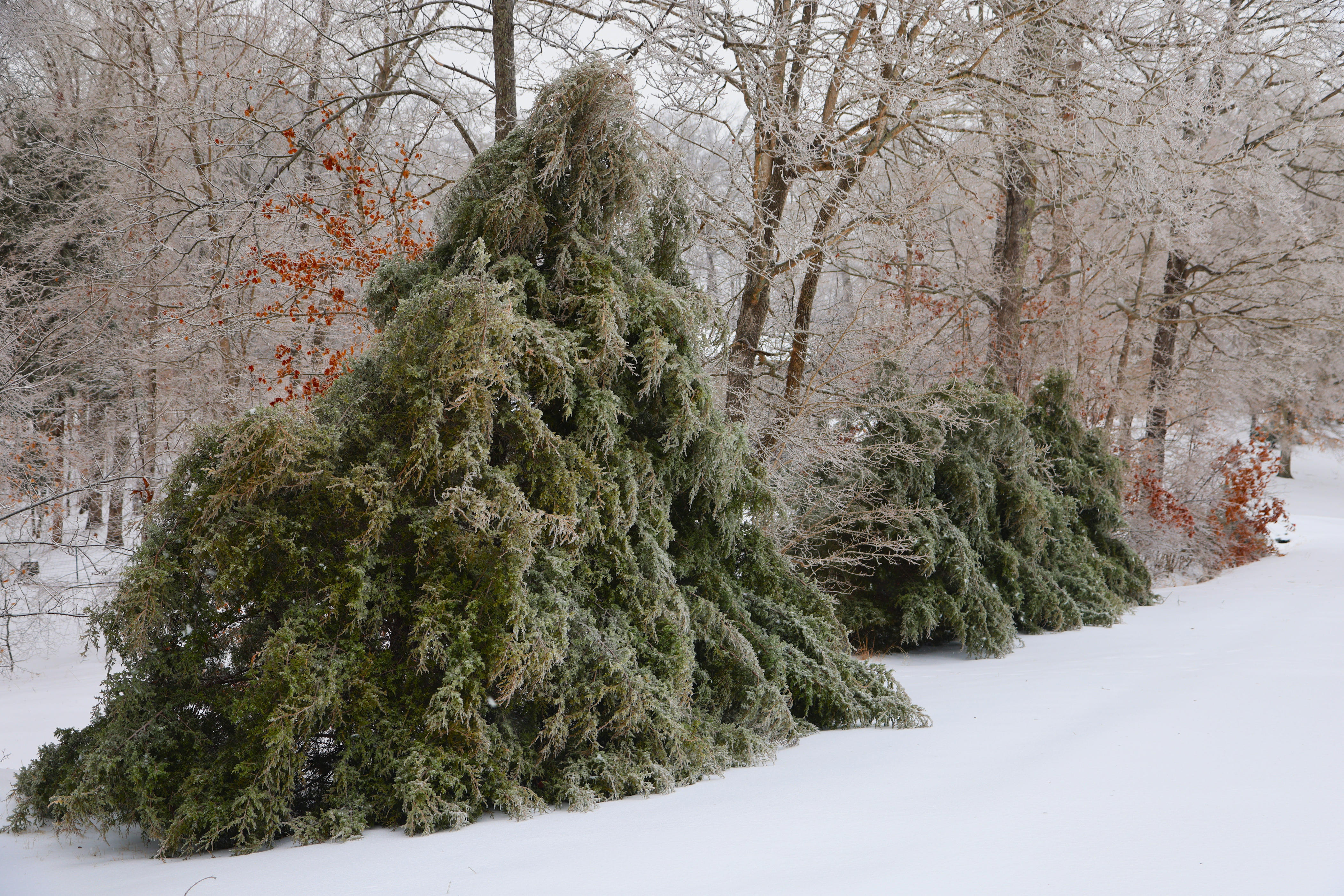 Montgomery County EMA asks residents to report winter storm damage