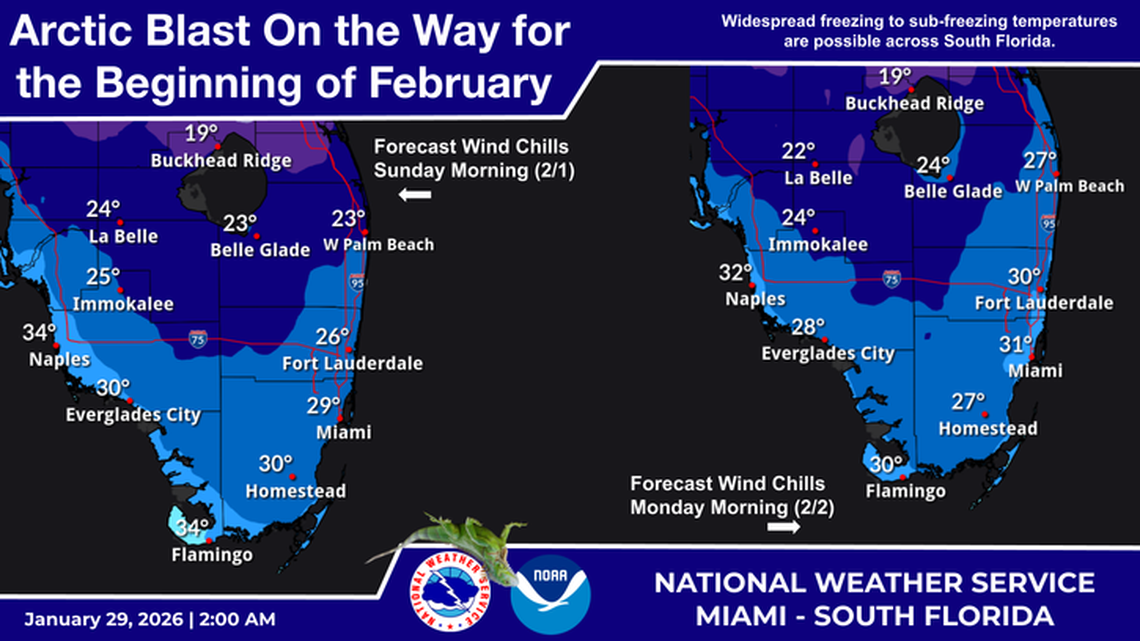 Arctic blast bringing lows in 30s this weekend. What Pembroke Pines can ...