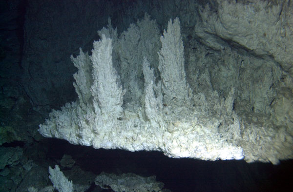 Engineers found the Atlantic’s “Lost City” vents and the rock chemistry ...