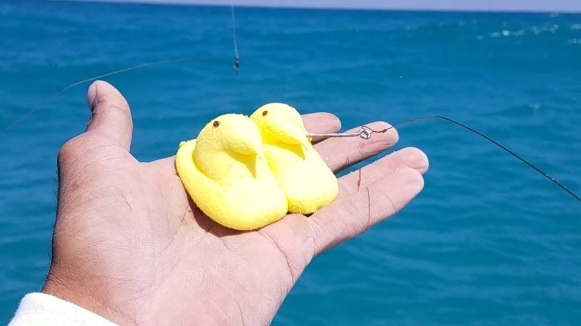 Using Peeps candy to catch ocean monsters was a disaster in huge waves