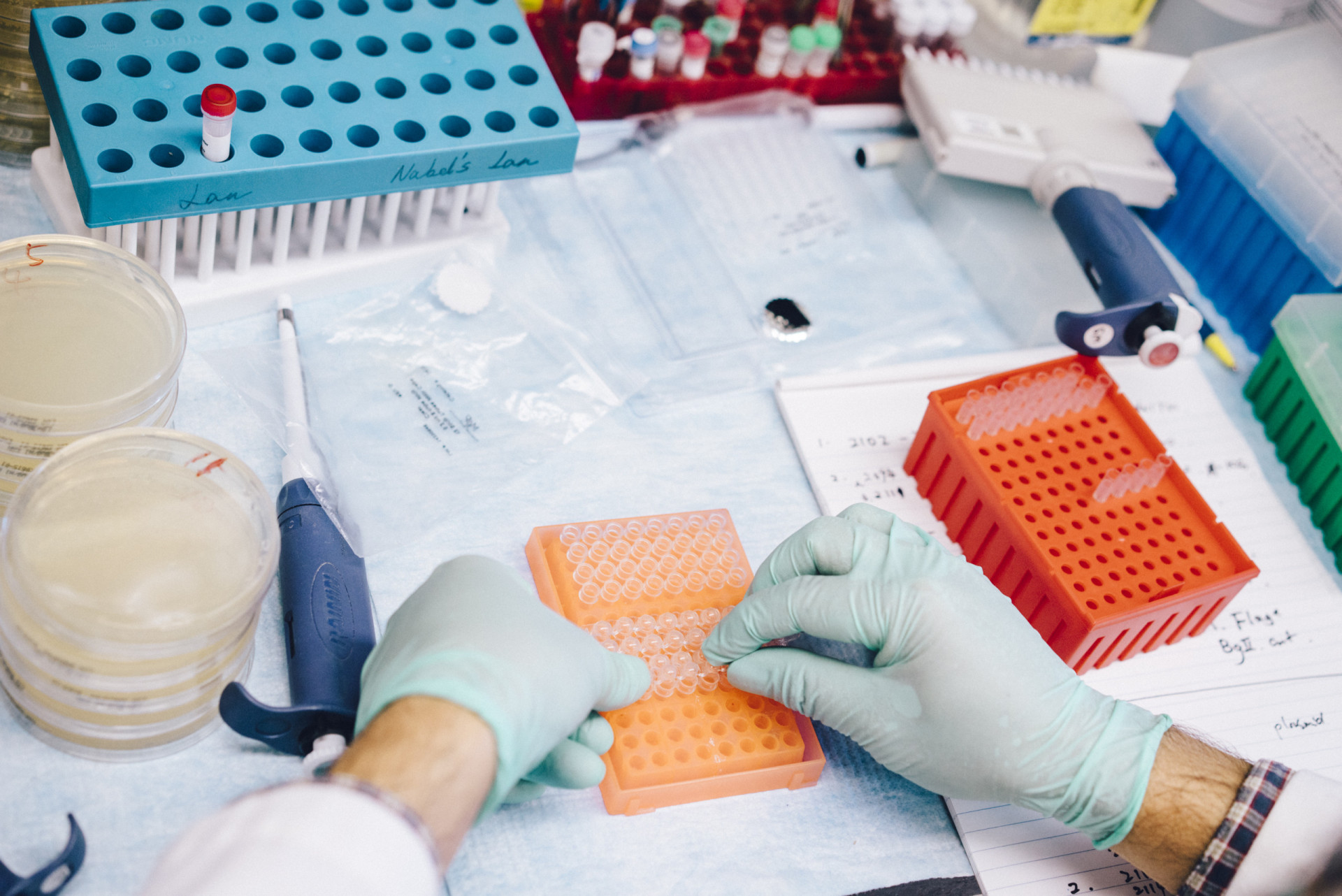 30 unexpected facts you didn't know about DNA