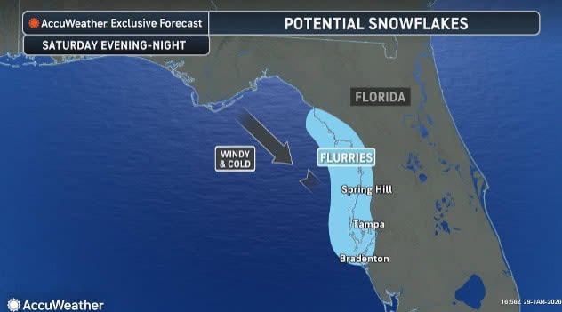 Arctic blast in Florida set to topple records and iguanas