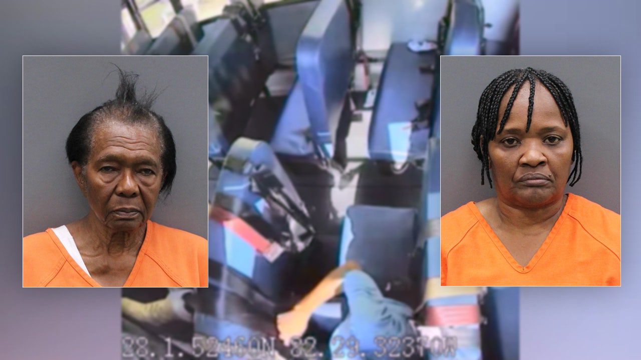 Hillsborough County bus aide caught on camera hitting child with autism ...