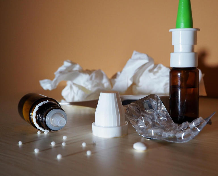 Nasal bird flu vaccine shows strong protection against infection in rodents