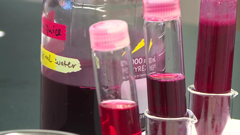 Wisconsin researchers lead natural food coloring breakthrough as ...