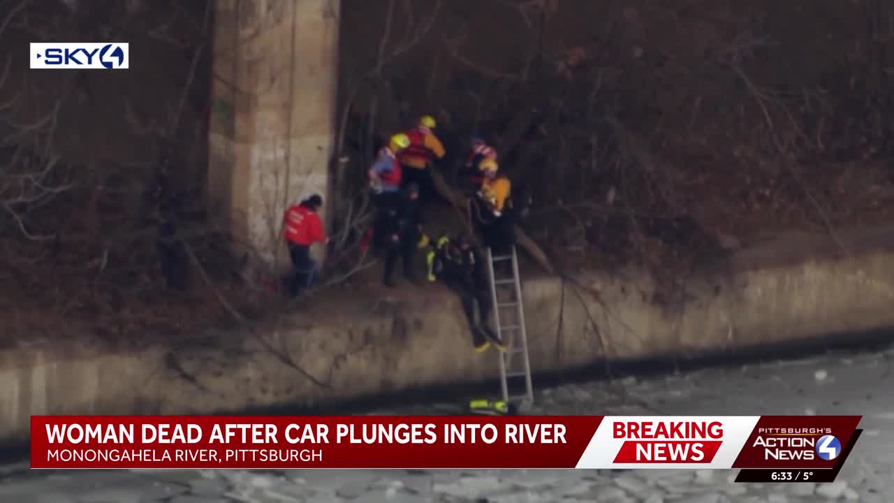 Woman dies after car plunges into Monongahela River near I-376 in ...